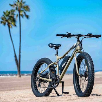 Olive fat-tire cruiser parked on the sand under palm trees