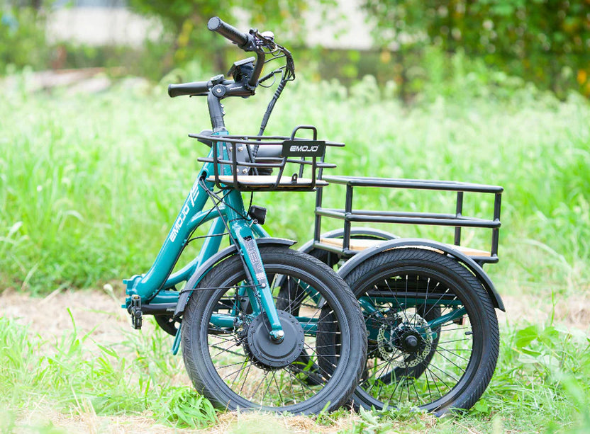 Teal Emojo cargo trike in a green field
