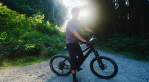 Rider pausing on a sunlit forest trail